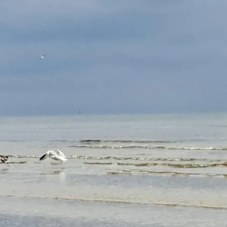 Дом отдыха Achterwasser32 *