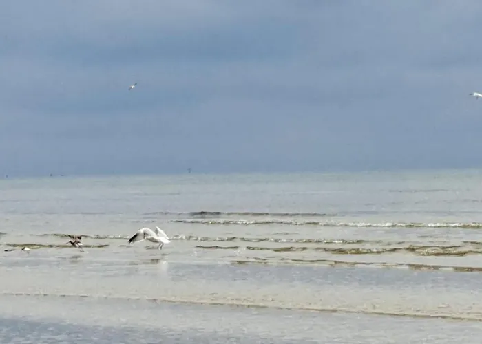 Tatil Evi Achterwasser32 *